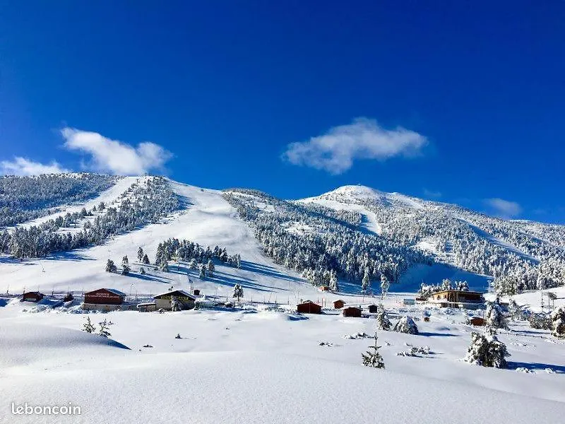 Grand Studio Plein Sud Vue Sur Pistes Greolieres Apartment